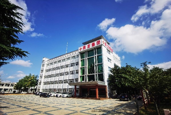 印象2号站——集团总部