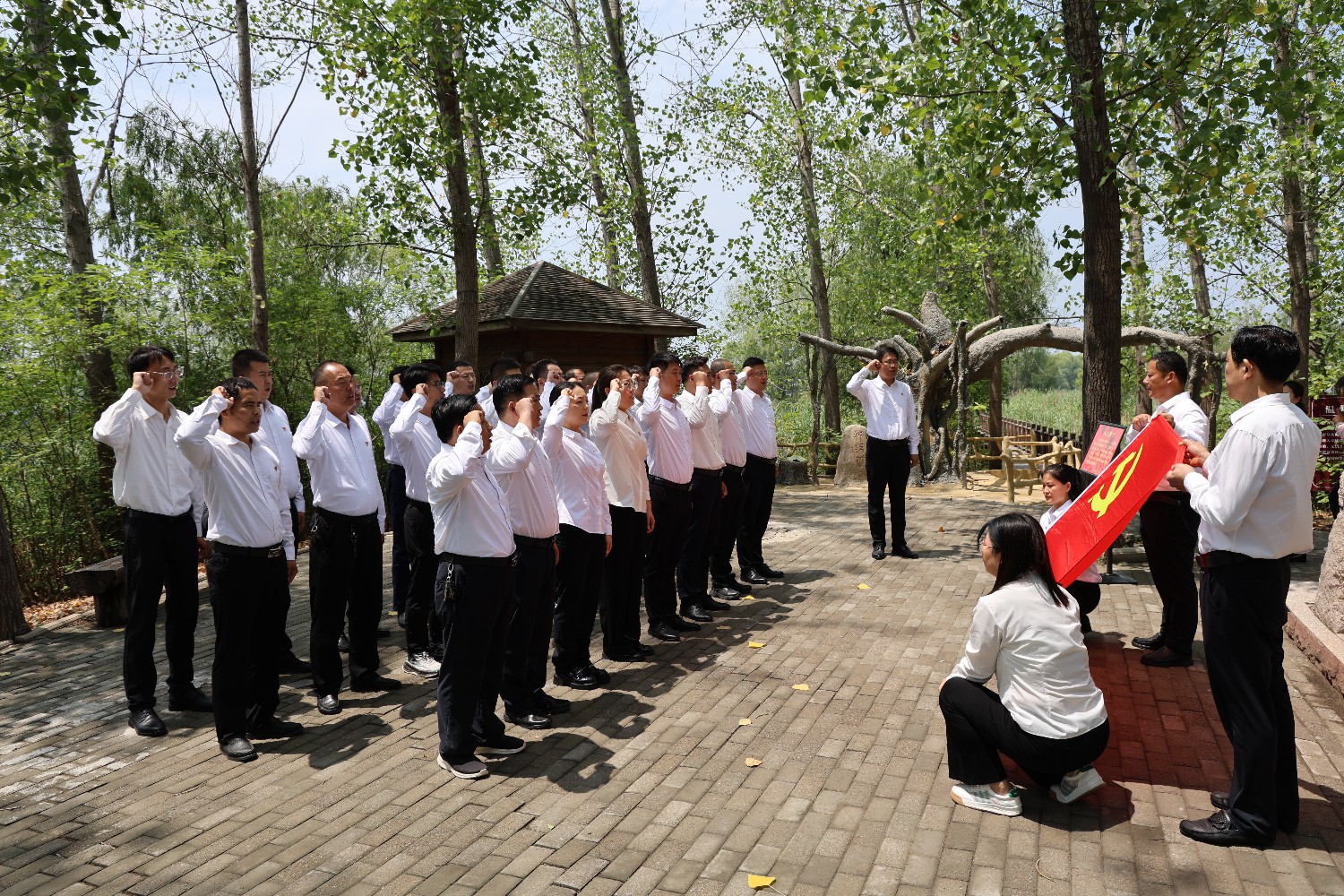 集团党委组织开展入党宣誓运动